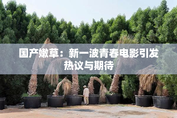 国产嫩草：新一波青春电影引发热议与期待