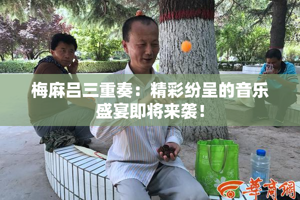 梅麻吕三重奏：精彩纷呈的音乐盛宴即将来袭！