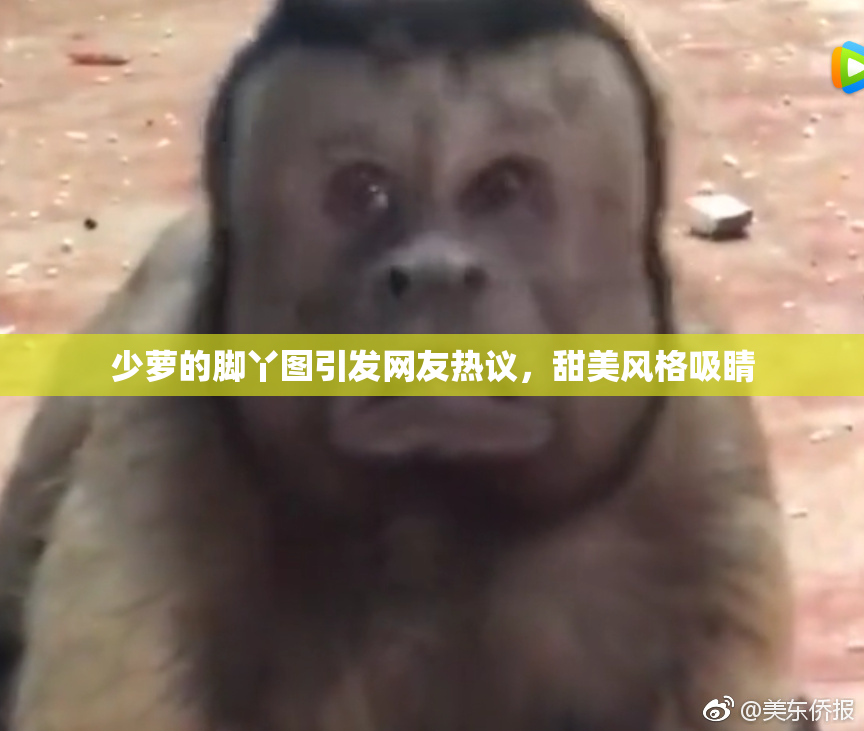 少萝的脚丫图引发网友热议，甜美风格吸睛