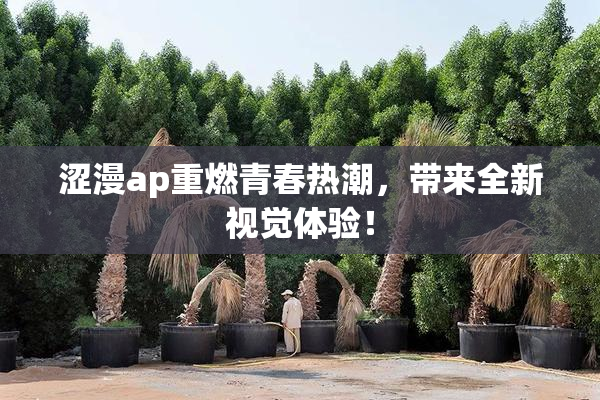 涩漫ap重燃青春热潮，带来全新视觉体验！