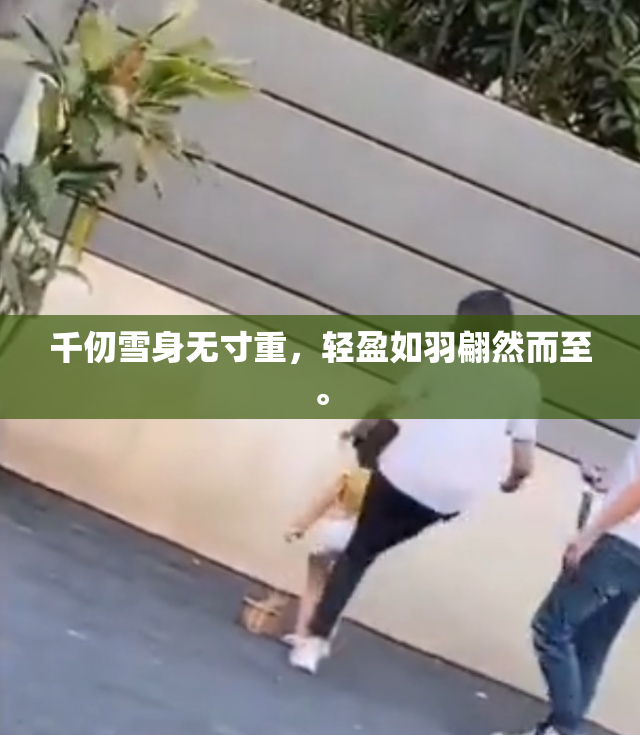 千仞雪身无寸重，轻盈如羽翩然而至。