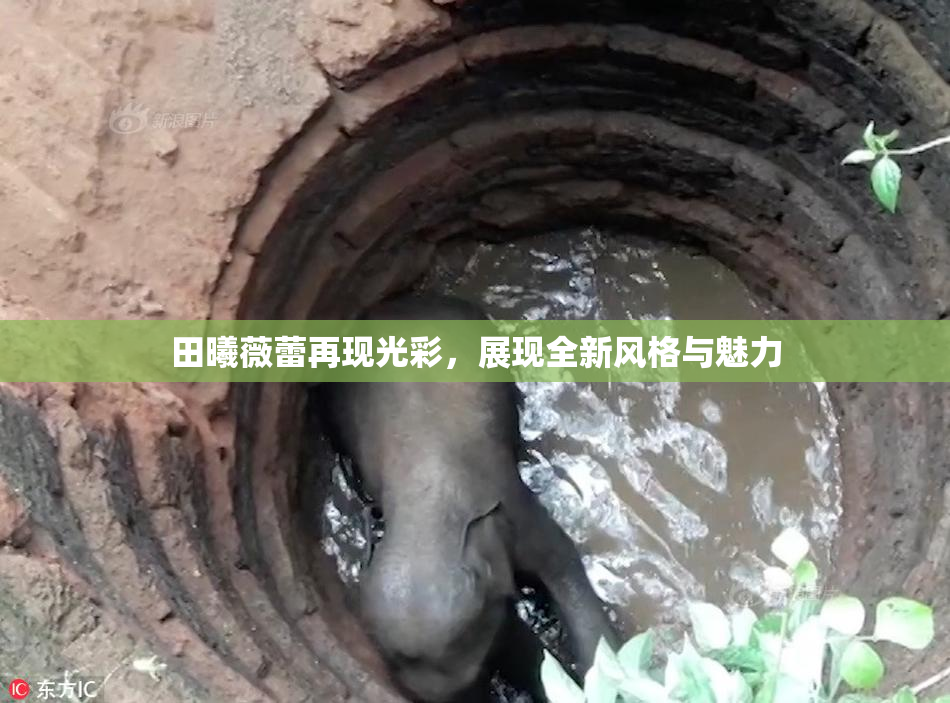 田曦薇蕾再现光彩，展现全新风格与魅力