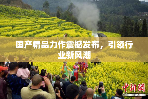 国产精品力作震撼发布，引领行业新风潮