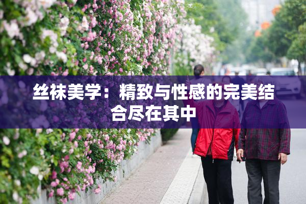 丝袜美学：精致与性感的完美结合尽在其中