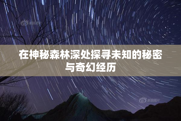 在神秘森林深处探寻未知的秘密与奇幻经历