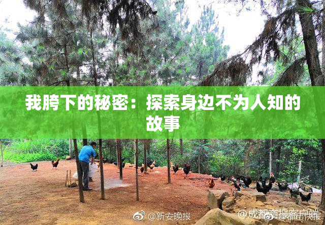 我胯下的秘密：探索身边不为人知的故事