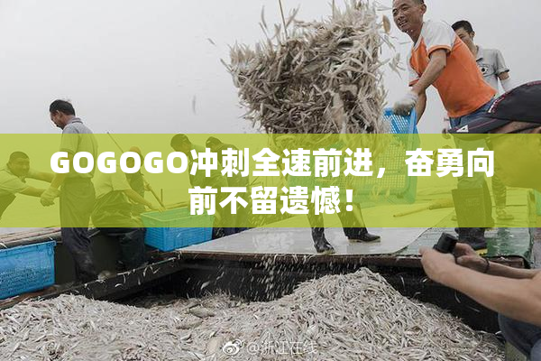 GOGOGO冲刺全速前进，奋勇向前不留遗憾！