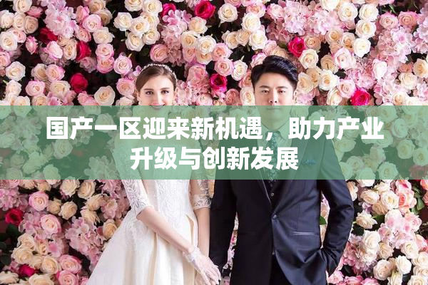 国产一区迎来新机遇，助力产业升级与创新发展