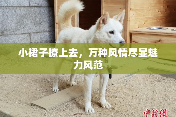 小裙子撩上去，万种风情尽显魅力风范
