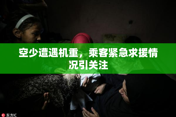 空少遭遇机重，乘客紧急求援情况引关注