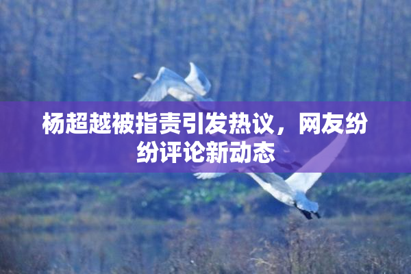 杨超越被指责引发热议，网友纷纷评论新动态