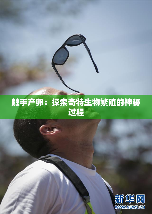 触手产卵：探索奇特生物繁殖的神秘过程