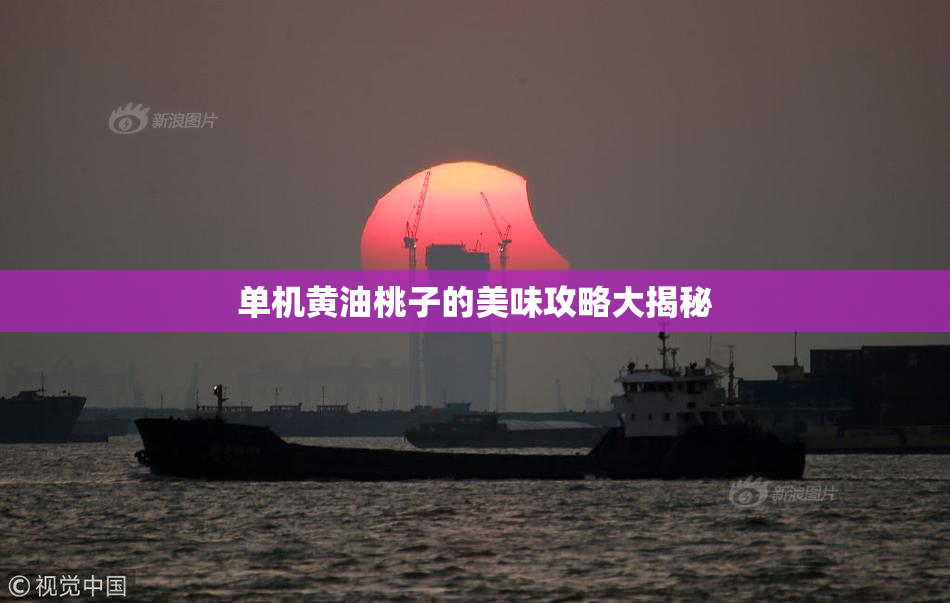 单机黄油桃子的美味攻略大揭秘