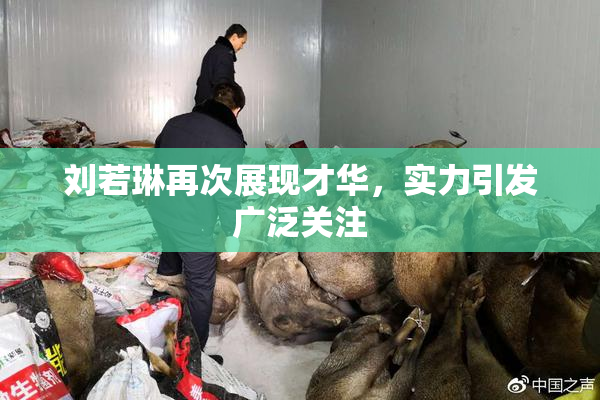 刘若琳再次展现才华，实力引发广泛关注
