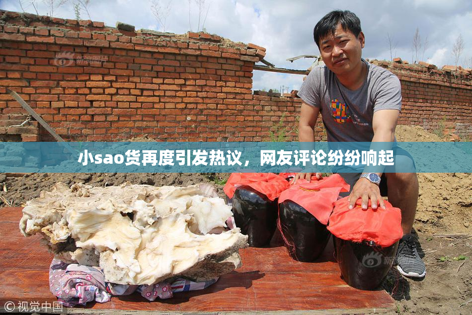 小sao货再度引发热议，网友评论纷纷响起