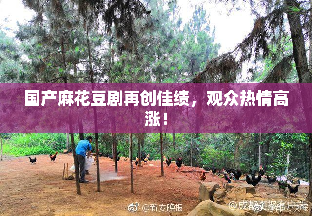 国产麻花豆剧再创佳绩，观众热情高涨！