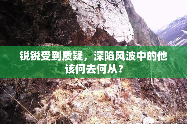 锐锐受到质疑，深陷风波中的他该何去何从？