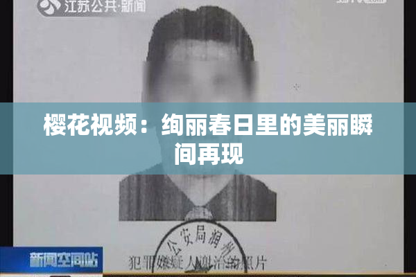 樱花视频：绚丽春日里的美丽瞬间再现