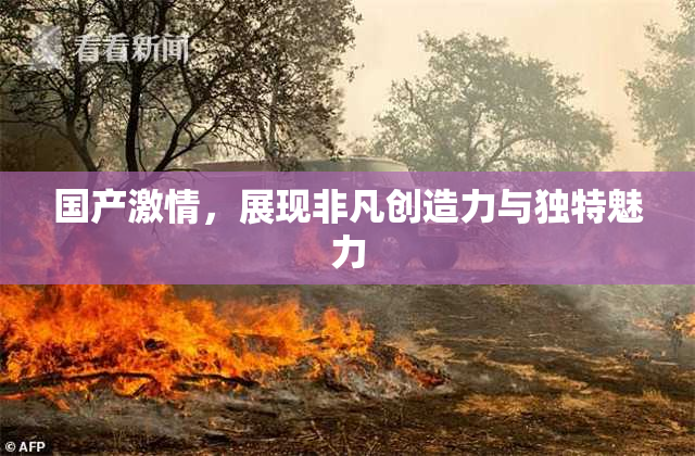 国产激情，展现非凡创造力与独特魅力