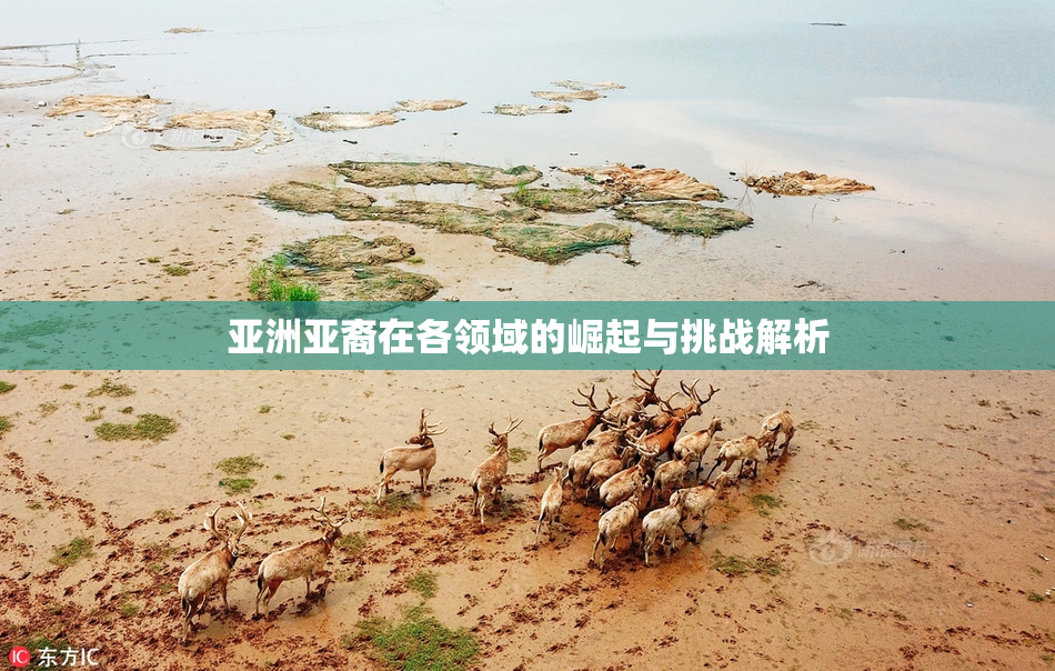 亚洲亚裔在各领域的崛起与挑战解析