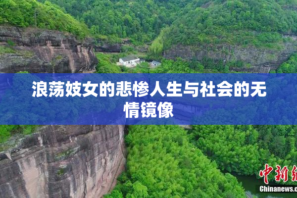 浪荡妓女的悲惨人生与社会的无情镜像