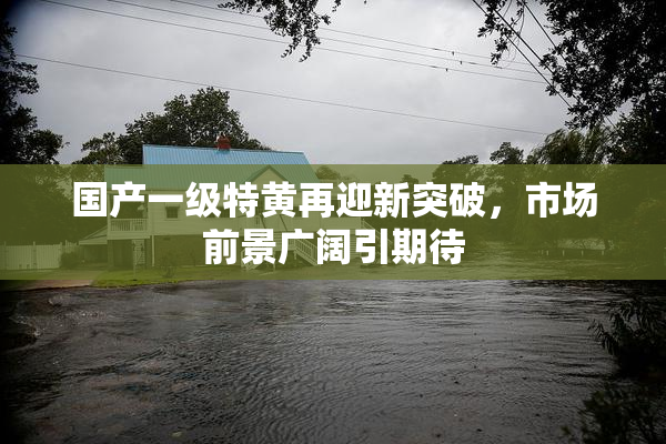 国产一级特黄再迎新突破，市场前景广阔引期待