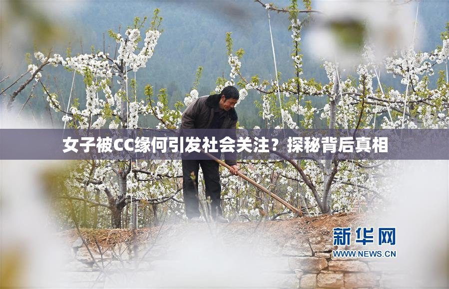 女子被CC缘何引发社会关注？探秘背后真相