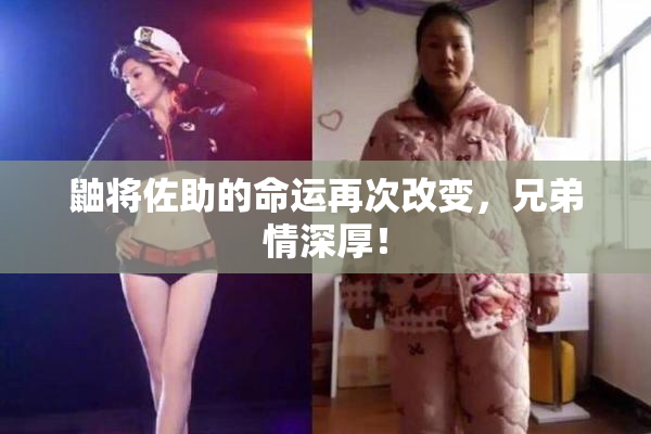 鼬将佐助的命运再次改变，兄弟情深厚！
