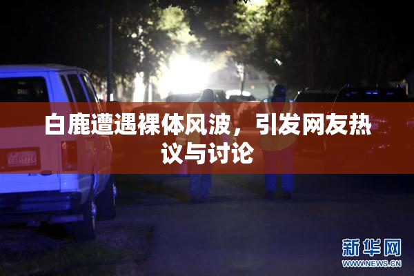 白鹿遭遇裸体风波，引发网友热议与讨论