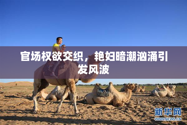 官场权欲交织，艳妇暗潮汹涌引发风波