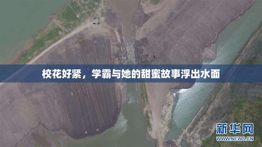 校花好紧，学霸与她的甜蜜故事浮出水面
