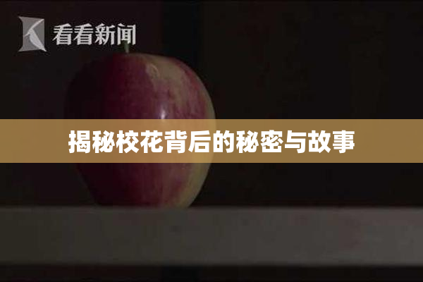 揭秘校花背后的秘密与故事