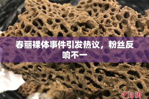 春丽裸体事件引发热议，粉丝反响不一