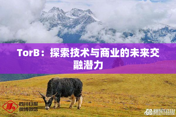 TorB：探索技术与商业的未来交融潜力