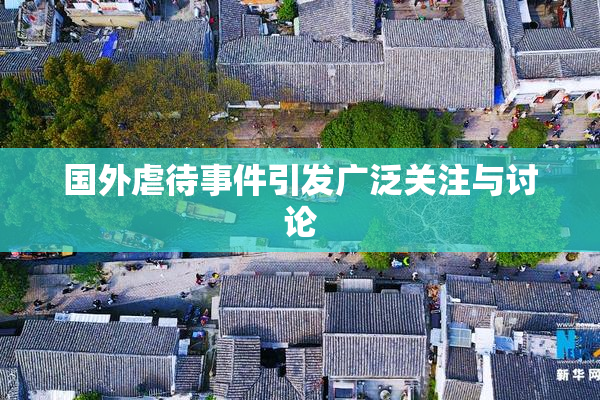 国外虐待事件引发广泛关注与讨论