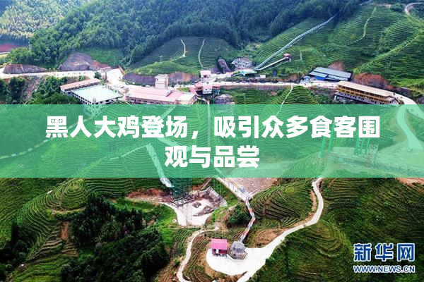 黑人大鸡登场，吸引众多食客围观与品尝