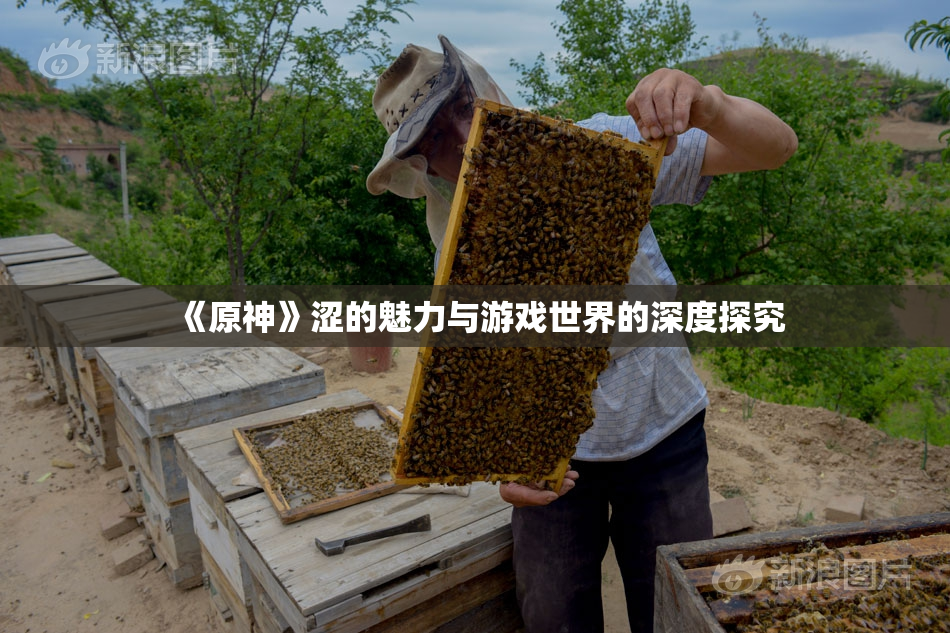 《原神》涩的魅力与游戏世界的深度探究