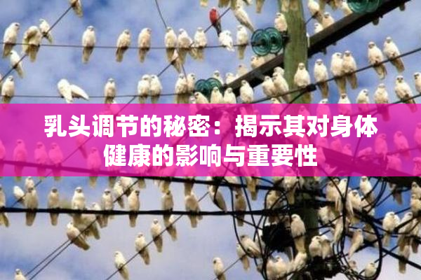 乳头调节的秘密：揭示其对身体健康的影响与重要性