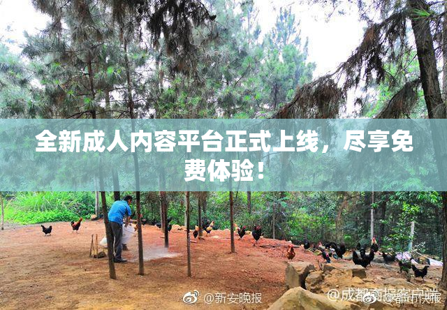 全新成人内容平台正式上线，尽享免费体验！