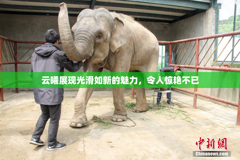 云曦展现光滑如新的魅力，令人惊艳不已