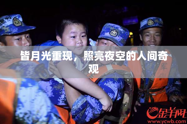皆月光重现，照亮夜空的人间奇观