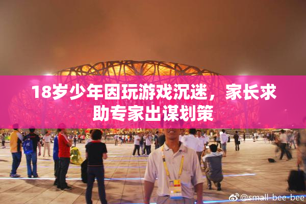18岁少年因玩游戏沉迷，家长求助专家出谋划策