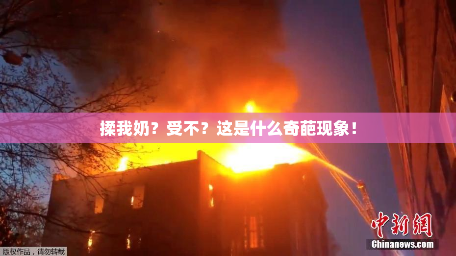 揉我奶？受不？这是什么奇葩现象！
