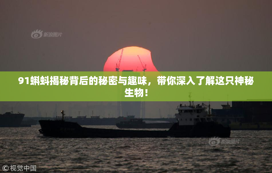 91蝌蚪揭秘背后的秘密与趣味，带你深入了解这只神秘生物！