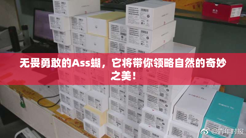 无畏勇敢的Ass蝴，它将带你领略自然的奇妙之美！
