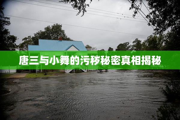 唐三与小舞的污秽秘密真相揭秘