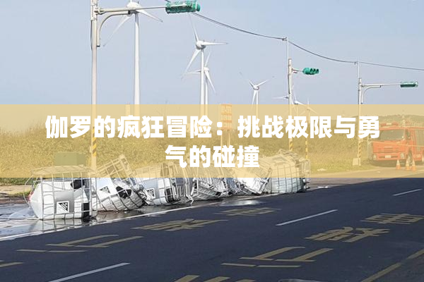伽罗的疯狂冒险：挑战极限与勇气的碰撞