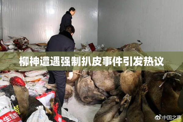 柳神遭遇强制扒皮事件引发热议