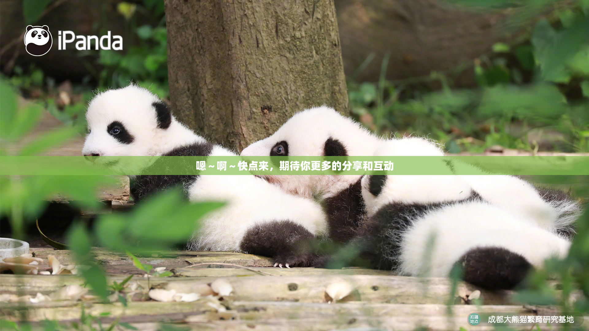 嗯～啊～快点来，期待你更多的分享和互动