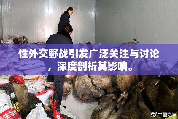 性外交野战引发广泛关注与讨论，深度剖析其影响。